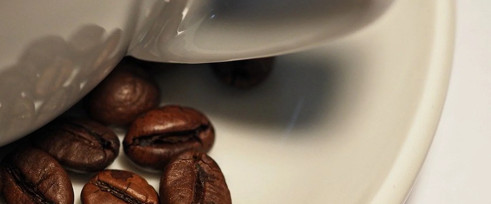 菠菜网站PG电子